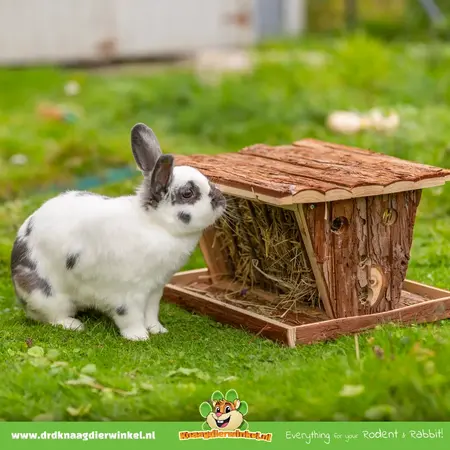 Trixie Heuraufe aus Holz mit Snackfach und Boden, 40 cm