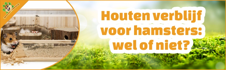 Houten verblijf voor hamsters: wel of niet?
