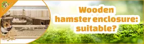 Wooden hamster enclosure: suitable?
