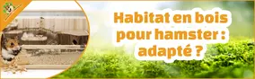 Habitat en bois pour hamster : adapté ?