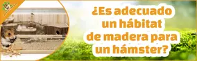 ¿Es adecuado un hábitat de madera para un hámster?