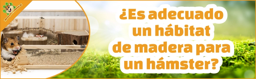 ¿Es adecuado un hábitat de madera para un hámster?