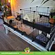 C&C® Cages Jaulas C&C® 5x2 + Altillo 2x2 – Jaula extragrande para cobayas