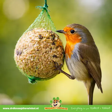 Versele-Laga Menú Bolas de grasa Nature (10 unidades) – Alimento graso de invierno para pájaros de jardín