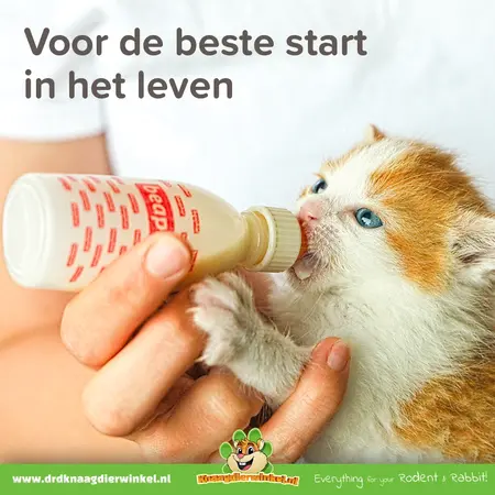 Beaphar Beaphar Lactol Voedingsset – Zuigflesje met Speentjes & Schoonmaakborstel