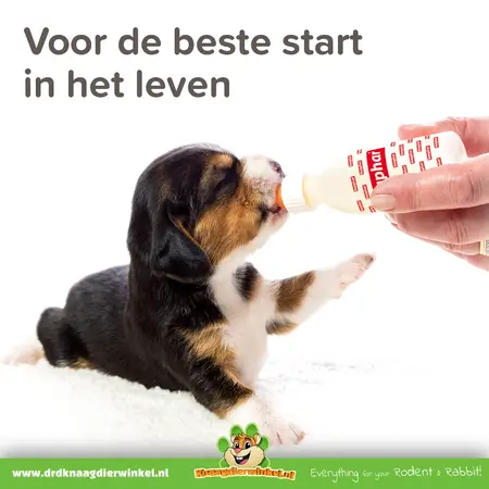 Beaphar Lactol Voedingsset met Zuigflesje, Speentjes en Borstel