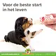 Beaphar Lactol Voedingsset met Zuigflesje, Speentjes en Borstel