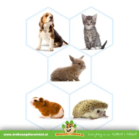 Beaphar Zestaw do karmienia Beaphar Lactol – butelka dla niemowląt ze smoczkami i szczotką do czyszczenia