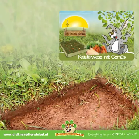 JR Farm Łąka pastewna Łąka ziołowa 30 cm