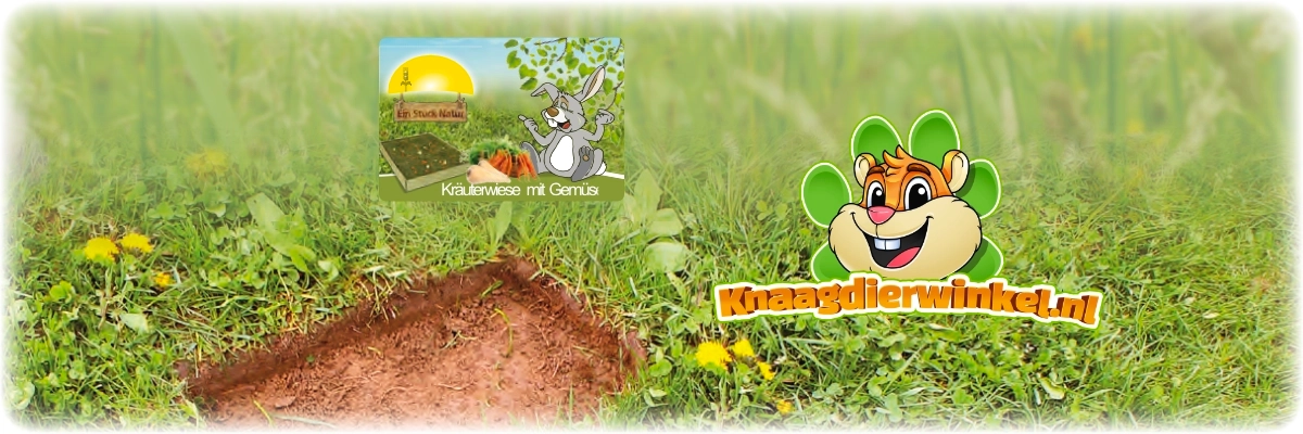 Pasto forrajero de granja jr extraído directamente del pasto