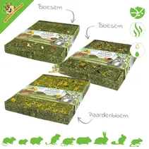 Forage Meadow Herb Meadow 30 cm