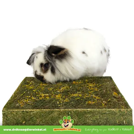 JR Farm Foerageer Weiland Kruidenweide 30 cm