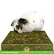 JR Farm Prairie de fourragement, prairie d'herbes aromatiques pour rongeurs et lapins