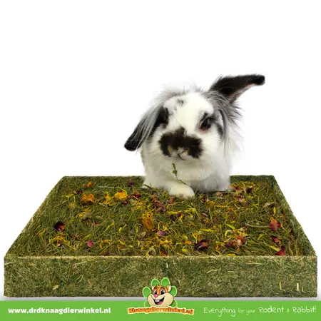 JR Farm Hierba forrajera de pradera 30 cm