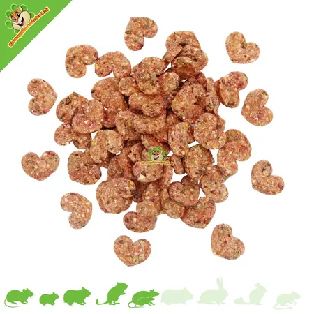 JR Farm Hermetia Protein Hearts 100 g – przekąski w kształcie serc z larwami Hermetia