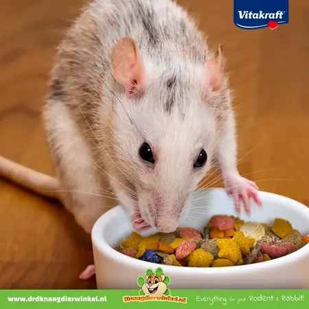 Vitakraft Aliment pour rats domestiques et rats nains Emotion Beauty Selection