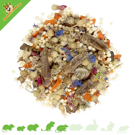 JR Farm Tiny Treats Grasshopper Mix, friandise de 150 grammes pour rongeurs omnivores
