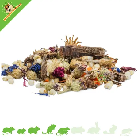 JR Farm Tiny Treats Sprinkhanen Mix 150 gram snack voor omnivore knaagdieren