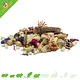 JR Farm Tiny Treats Grasshopper Mix, friandise de 150 grammes pour rongeurs omnivores