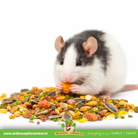 Versele-Laga Muesli croustillant Hamsters & Co