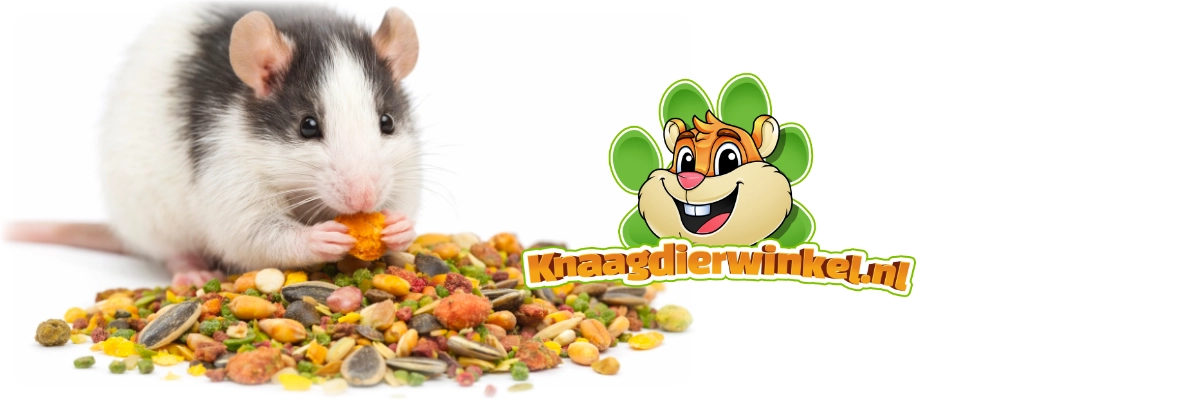 Versele-Laga knuspriges Müsli Hamster- und Co.-Nagerfutter