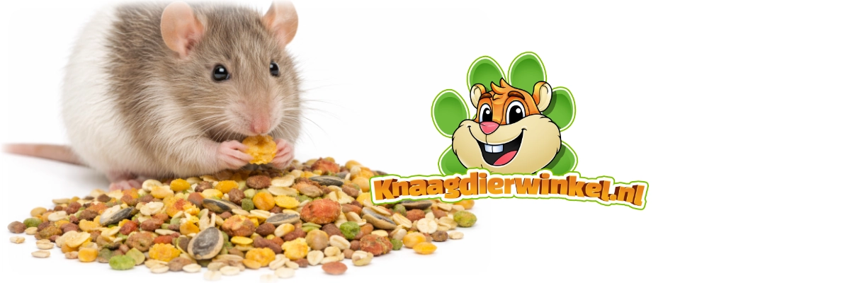 Alimento para ratas y ratones Supreme Petfoods Reggie Rat y Mini Mouse