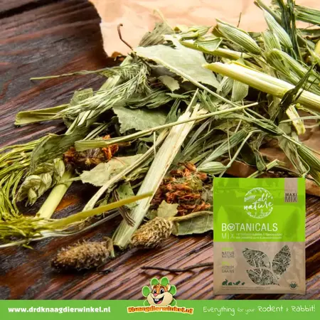 Bunny Nature BOTANICALS Maxi Mix 400 gramos – Natural como snack o alimento completo