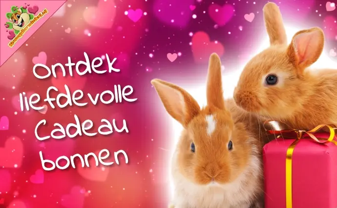 Valentijn cadeabonnen