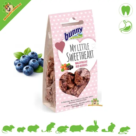 Bunny Nature Mon petit chouchou pour les rongeurs et les lapins !