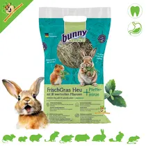 FreshGrass Hay Mint 500 grams