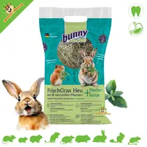 FreshGrass Hay Mint 500 grams