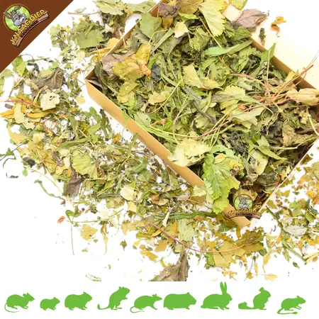 Knaagdier Kruidenier 13 Soorten Bladerenmix Grof – premium bladmix