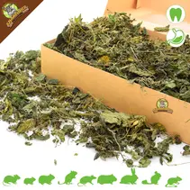 Nettle Leaves Coarse Premium