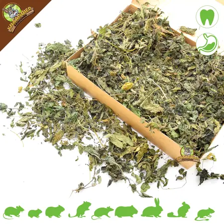 Knaagdier Kruidenier Feuilles d'ortie séchées à gros grains pour rongeurs et lapins !