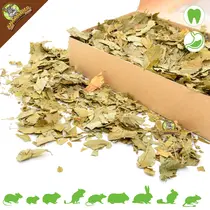 Feuilles de pêcher grossières