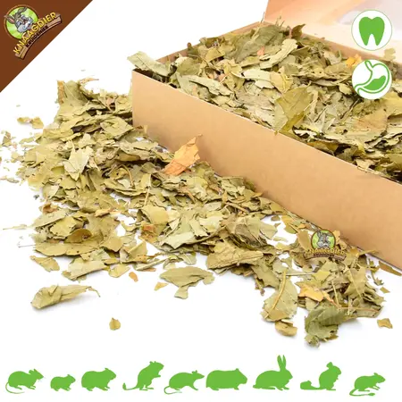 Knaagdier Kruidenier Dried Peach Leaves Coarse