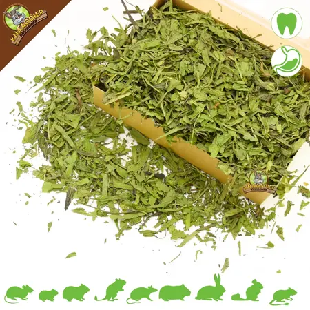 Knaagdier Kruidenier Plátano de hoja estrecha seco grueso para roedores y conejos.