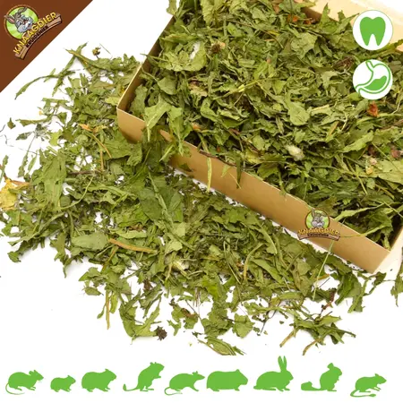 Knaagdier Kruidenier Dried Dandelion Leaves Coarse