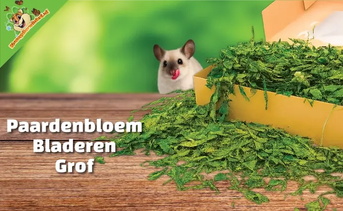 Paardenbloembladeren Grof