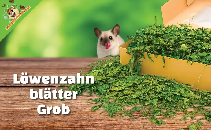 Paardenbloembladeren Grof