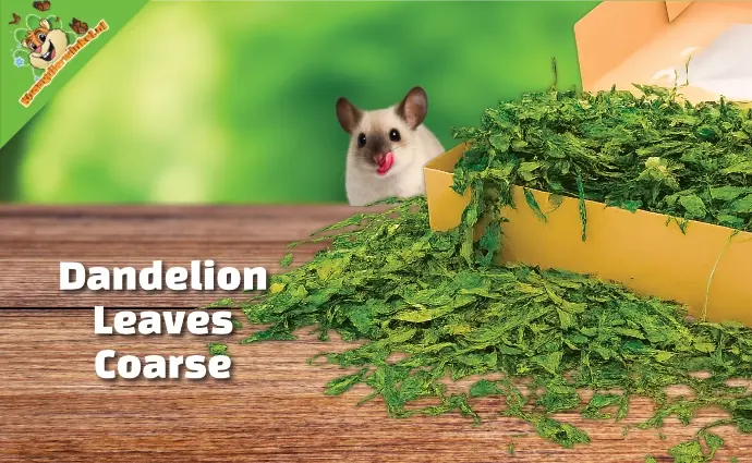 Paardenbloembladeren Grof