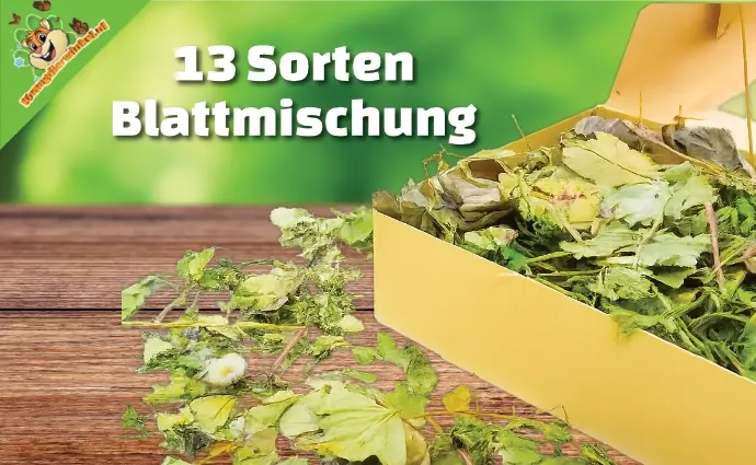 13 soorten bladerenmix