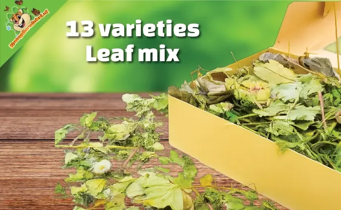 13 soorten bladerenmix