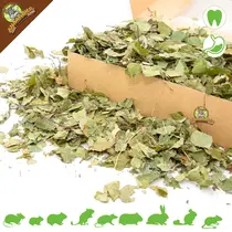 Hojas de abedul gruesas