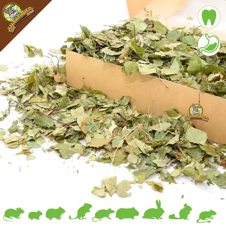 Knaagdier Kruidenier Dried Birch Leaves Coarse for Rodents & Rabbits!