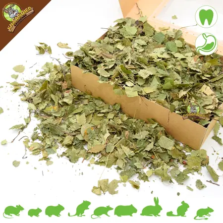 Knaagdier Kruidenier Dried Birch Leaves Coarse for Rodents & Rabbits!