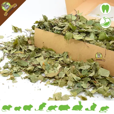 Knaagdier Kruidenier Dried Birch Leaves Coarse for Rodents & Rabbits!