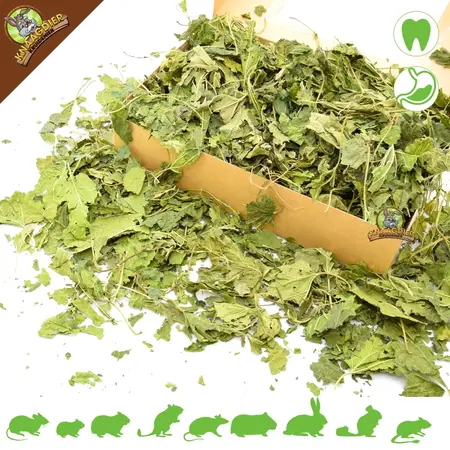 Knaagdier Kruidenier Dried Mulberry Leaves Coarse for Rodents & Rabbits!