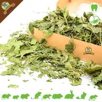 Feuilles de mûrier grossières