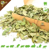 Feuilles de pommier grossières